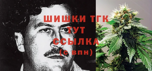 спайс Абаза