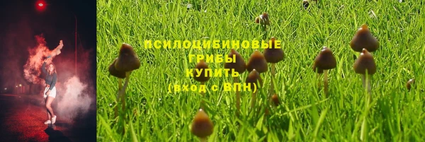 спайс Абаза